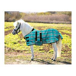 Protective Mini Horse Fly Sheet  Kensington